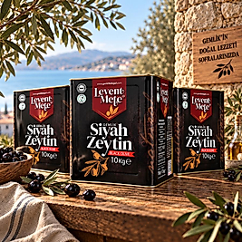 Jumbo Gemlik Zeytini 10 Kg Teneke (201-230)
